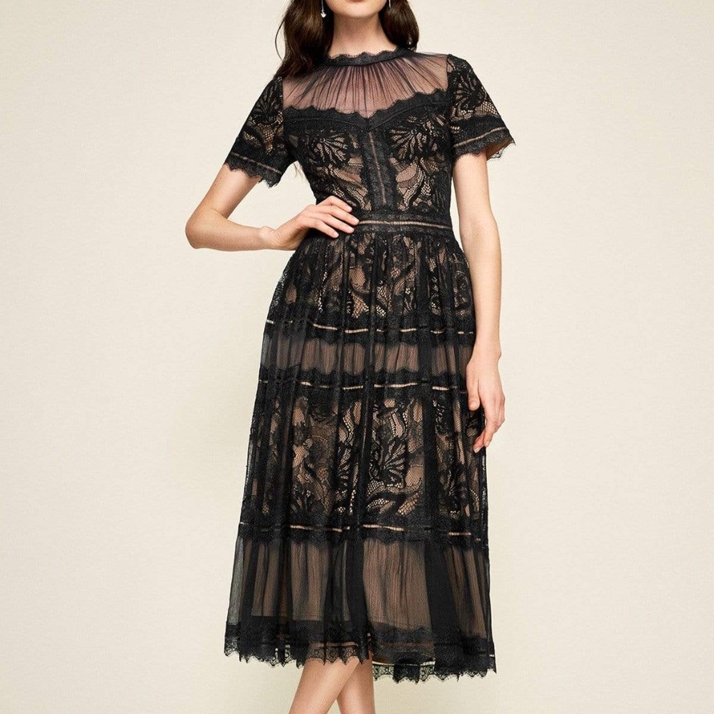 Gorgeous Designer Tadashi Shoji Camilla Tea Length Dress Lace Black Nude 14